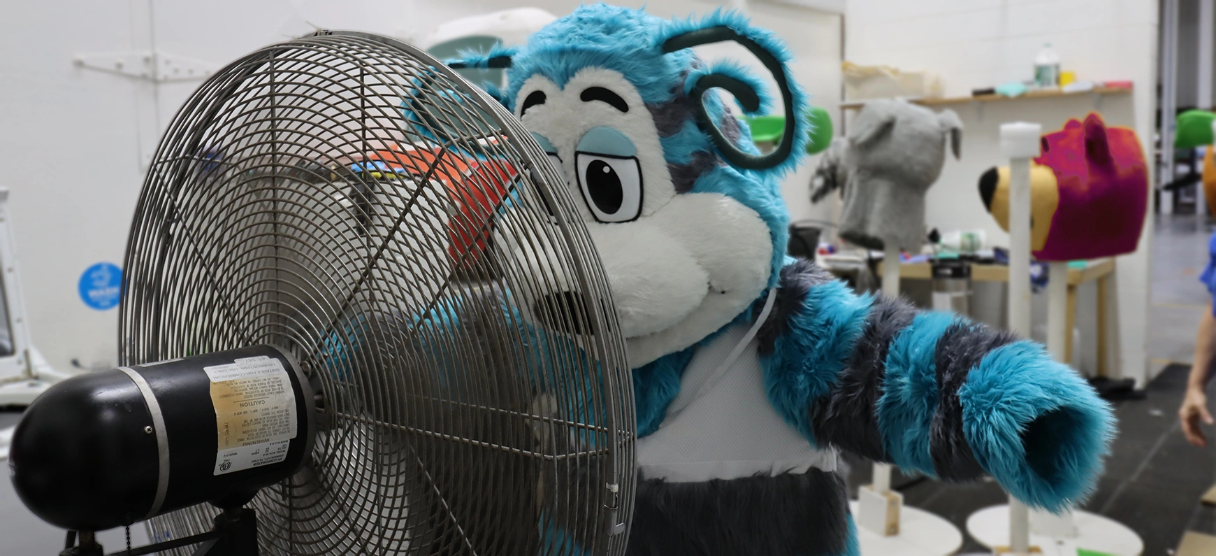 Mascot and Costume Cleaning