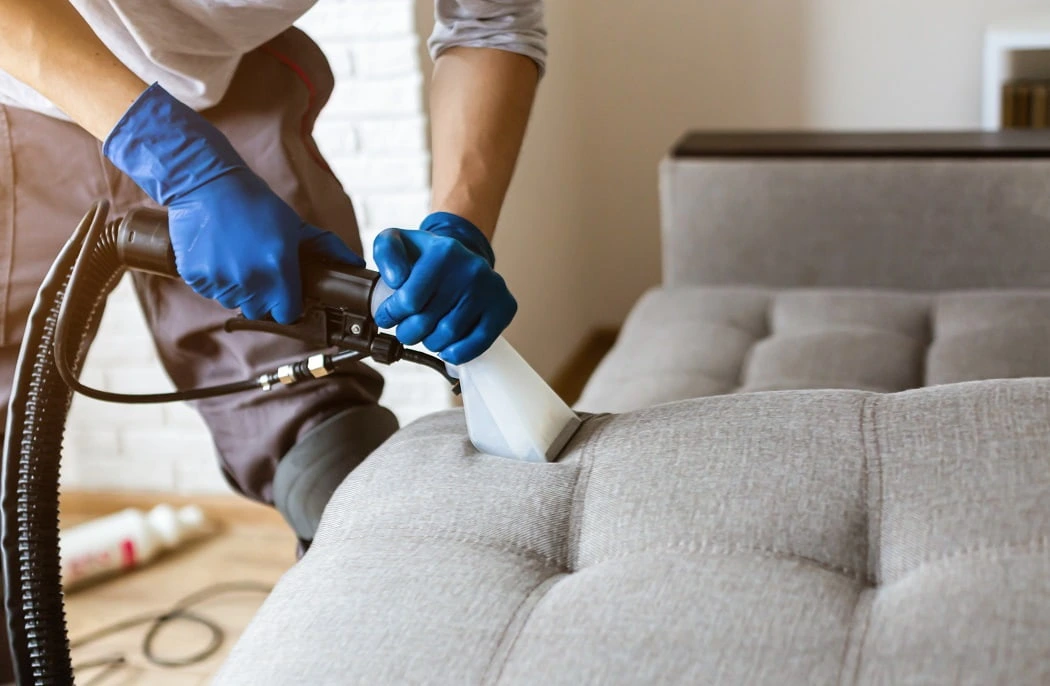 Sofa Cleaning